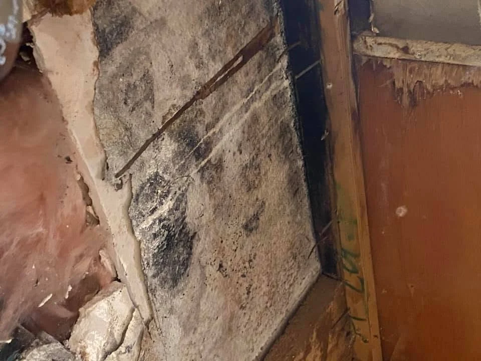 Hidden mold discovered inside wall cavity