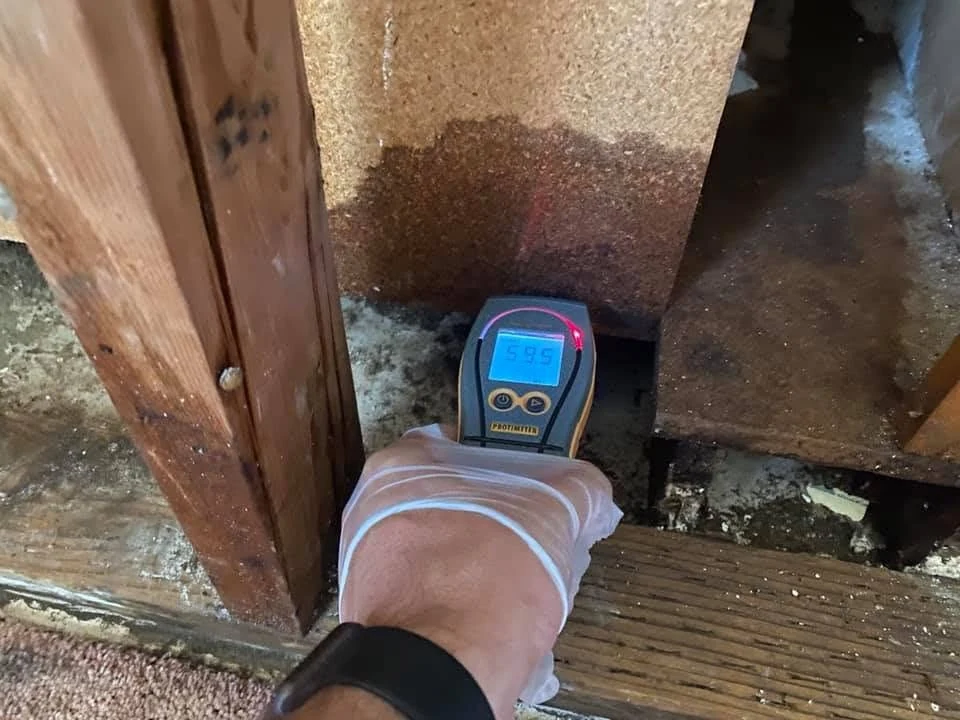 Moisture meter inspection of building materials