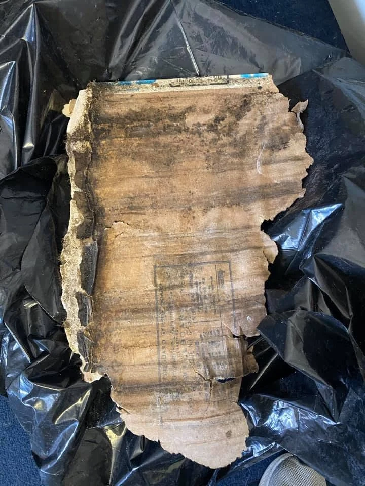 Controlled removal of mold contaminated drywall