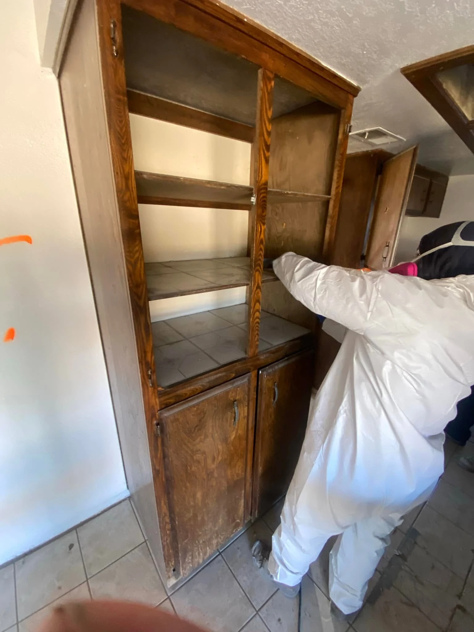 Cabinet mold remediation and cleaning
