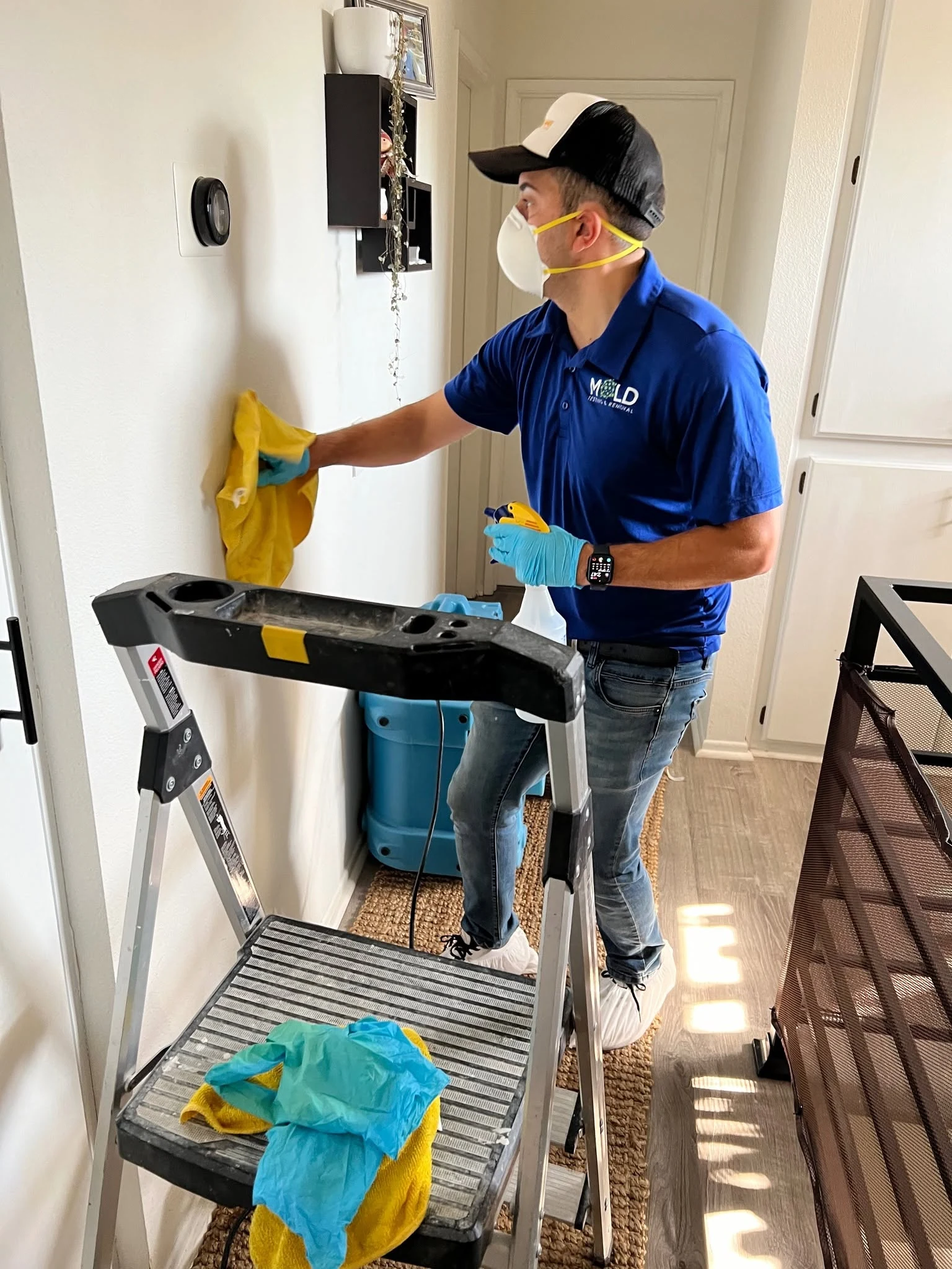 Professional mold remediation surface cleaning