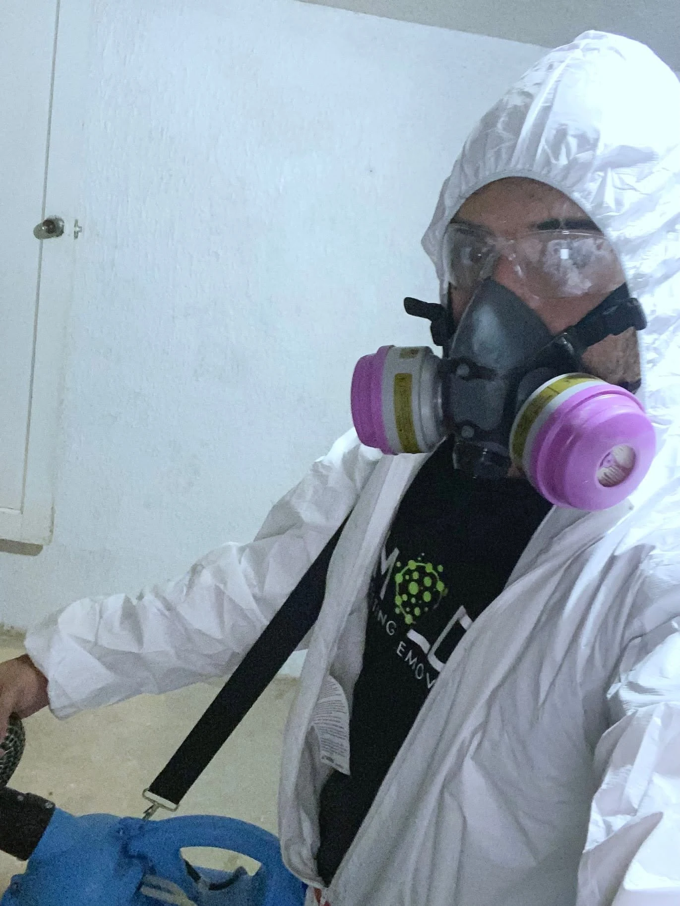 Professional mold abatement technician in Los Angeles