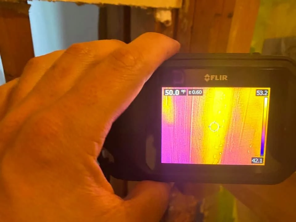 Thermal imaging used for moisture detection during mold inspection