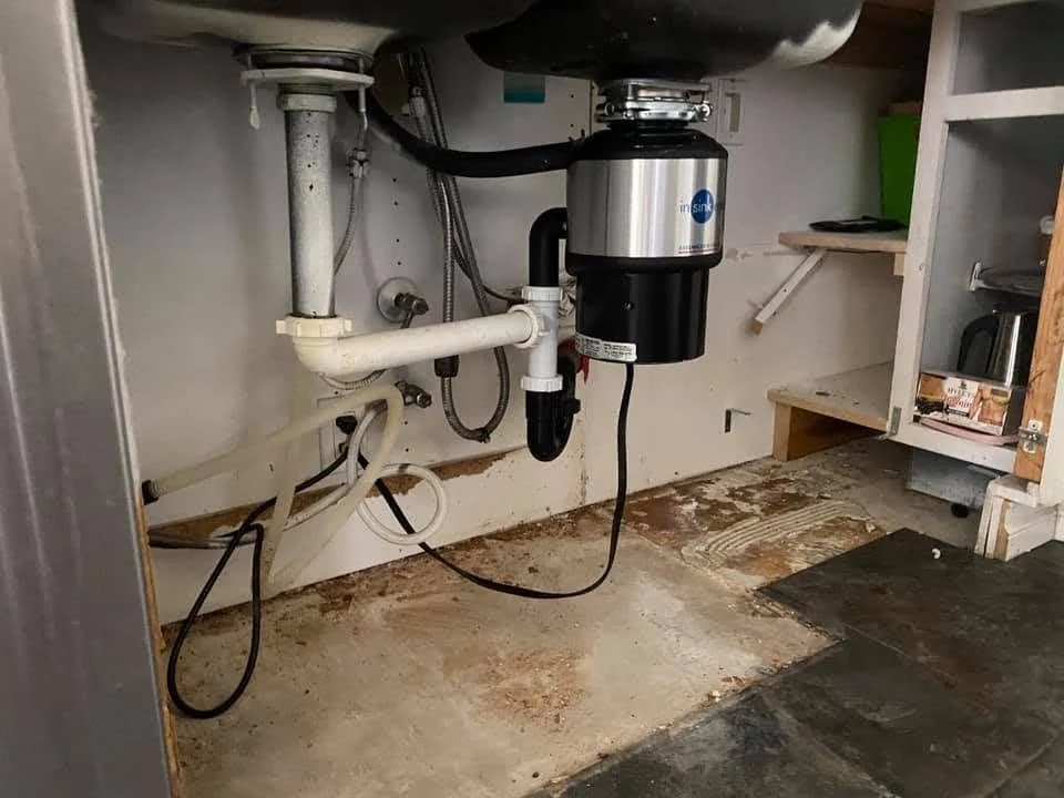 Under sink water damage and mold inspection