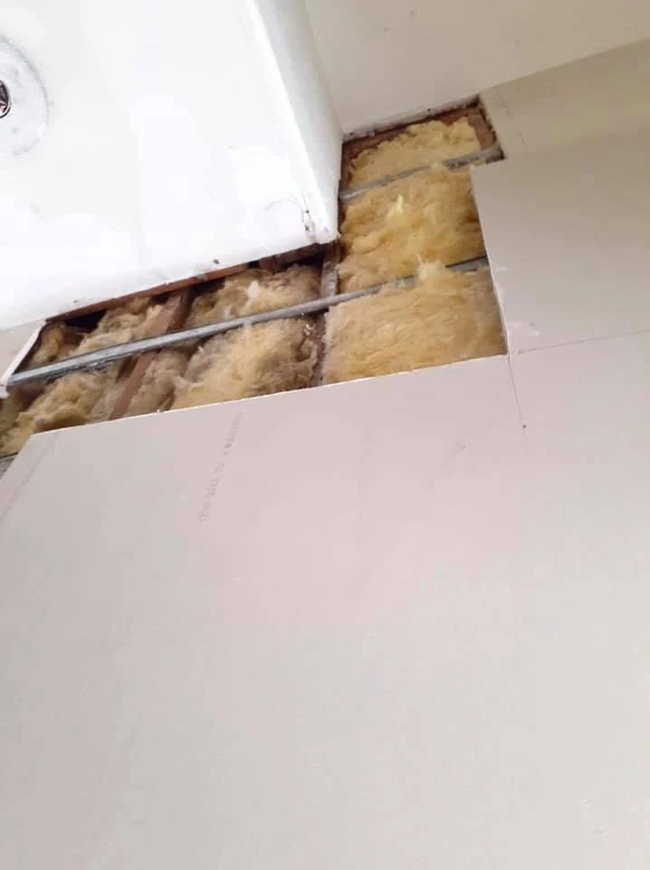 Wall cavity water damage and moisture inspection
